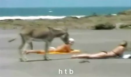 تحصل مارس الجنس افلام جنس مترجمة الى العربية مثير ليزا روف في فيلا