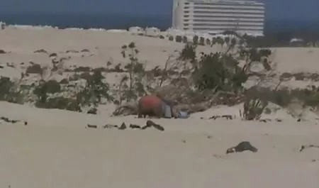 رياضات الحركة افلام سكس عربي تركي