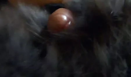 - إيمي أديسون - افلام جنس مترجم عربى إيمي ، من فضلك