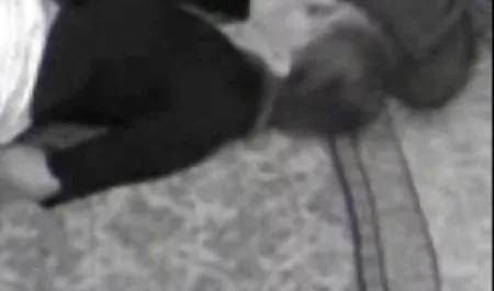 تستخدم هواة أنيتا لأقسم افلام سكس عربي تركي على شخص غريب